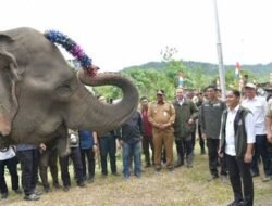 KPK Sebut Amplop untuk Raja Juli Bersumber dari Potongan SHU Petani Kuansing