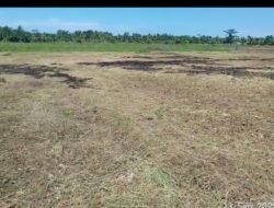 Rp58,9 Triliun Mengalir, Petani Aceh Menjerit: PBA Minta Aparat Telusuri!
