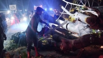 Pohon Tumbang Timpa Mobil di Pidie, Tujuh Warga Meninggal Dunia