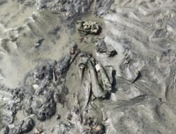 Heboh Tulang Belulang di Pesisir Peukan Bada, Diduga Sisa Pemakaman Lama