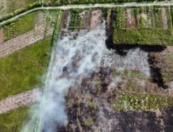 Karhutla Hanguskan Sekitar 1 Hektare Lahan di Aceh Barat