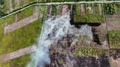 Karhutla Hanguskan Sekitar 1 Hektare Lahan di Aceh Barat