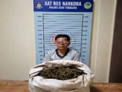 Ganja 4,7 Kg Disembunyikan di Bawah Kasur, Satresnarkoba Bekuk Pria 50 Tahun