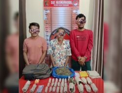 708 Gram Ganja Disikat Polisi di Kebun Makmur Jaya Aceh Tenggara, Tiga Pria Diamankan