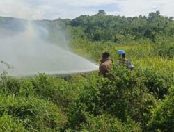 Karhutla di Lembah Seulawah Aceh Besar Hanguskan 3 Hektare Lahan