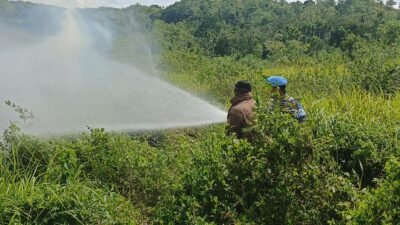 Karhutla di Lembah Seulawah Aceh Besar Hanguskan 3 Hektare Lahan