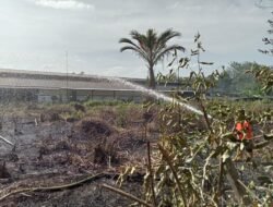 Karhutla 3 Hektare Lahan di Pidie Jaya Berhasil Dipadamkan, Tidak Ada Korban Jiwa