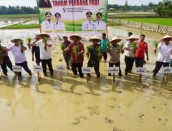 Pemerintah Aceh Jelaskan Posisi Bantuan Kementan untuk Pemulihan Sawah dan Kebun