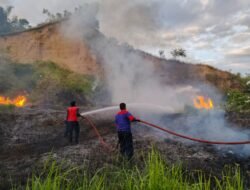BMKG: 73,8 Persen Wilayah Indonesia Masuki Kemarau, Waspadai Karhutla