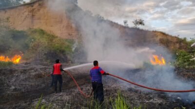 BMKG: 73,8 Persen Wilayah Indonesia Masuki Kemarau, Waspadai Karhutla