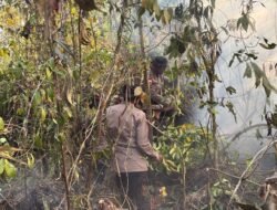 Hari Keenam Penanganan Karhutla, Brimob Kembali Turun Padamkan Api di Biak