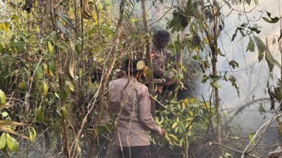 Hari Keenam Penanganan Karhutla, Brimob Kembali Turun Padamkan Api di Biak