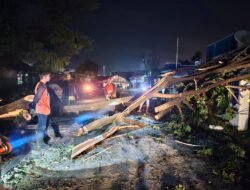 Angin Kencang Terjang Lhokseumawe, Lima Rumah Warga Tertimpa Pohon