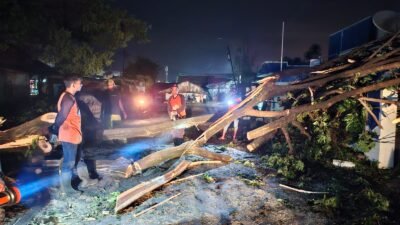 Angin Kencang Terjang Lhokseumawe, Lima Rumah Warga Tertimpa Pohon