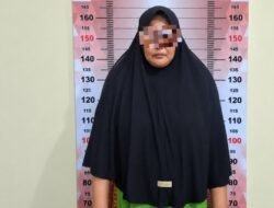 30 Paket Sabu Disembunyikan dalam Lospeaker, IRT di Lawe Alas Diciduk Polisi