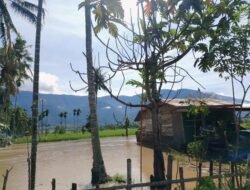 Banjir Rendam Enam Desa di Aceh Tenggara, 186 Warga Terdampak