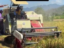 Alat Pemotong Padi Rp7,2 Miliar Disorot, Akademisi Minta Unit dan Penerima Dibuka