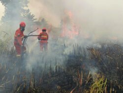 YAKATA Desak Pemerintah Buka Akses Bantuan Internasional untuk Tangani Karhutla