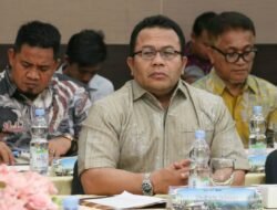 Zulkifli: Listrik Memadai Kunci Penguatan Investasi di Sabang