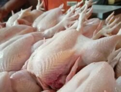 Harga Pangan Jadi Penentu Inflasi Aceh September, Cabai hingga Ayam Berpengaruh